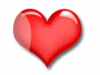My Heart